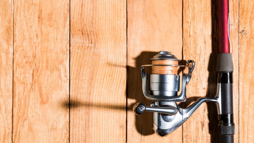 Mulinello per pesca: cosa sapere?