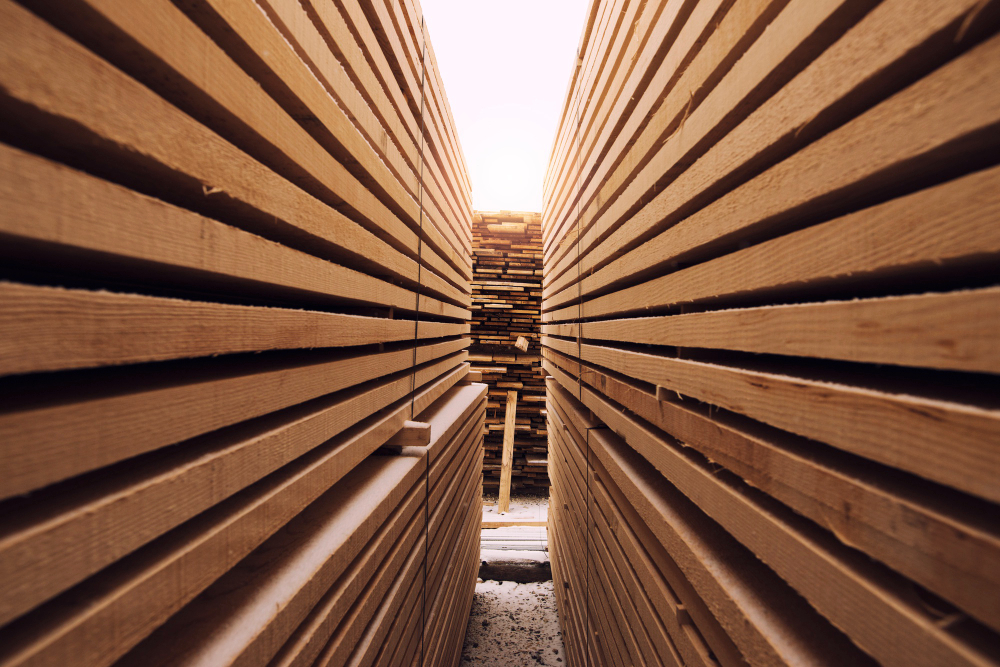 Sostenibilità e Risparmio: Scopri la Vendita di Pallet Usati da Ribo Pallets
