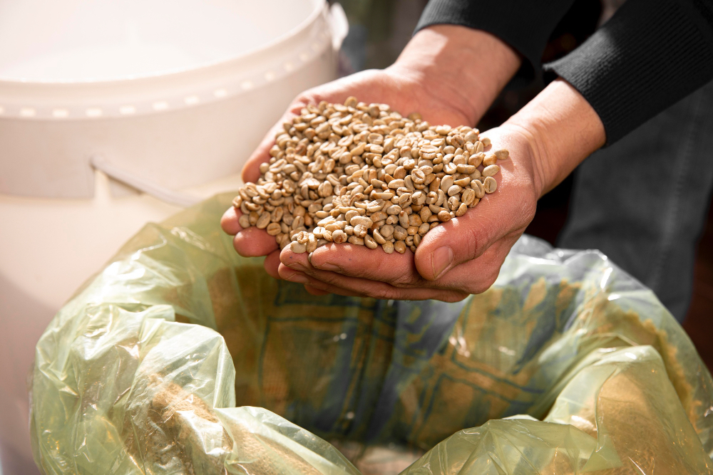 Stoccaggio Cerali Conto Terzi: ecco cosa devi sapere